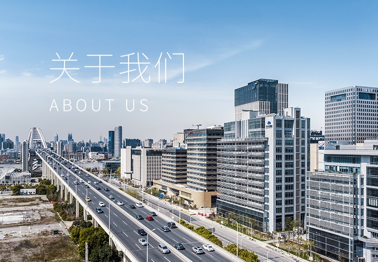 关于Ag亚洲集团 
