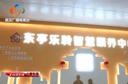 中宣部采访团到访武汉东亭社区米兰体育智慧保养中心